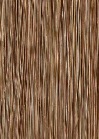 Shade - Brown #10 | SDD Luxury Nano Hair 25g