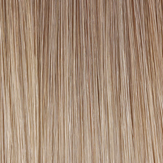 Shade - Beige Blonde | SDD Luxury Nano Hair 25g