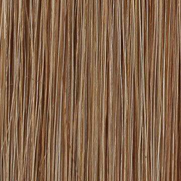 Brown #10 | Double Drawn Luxury Weft
